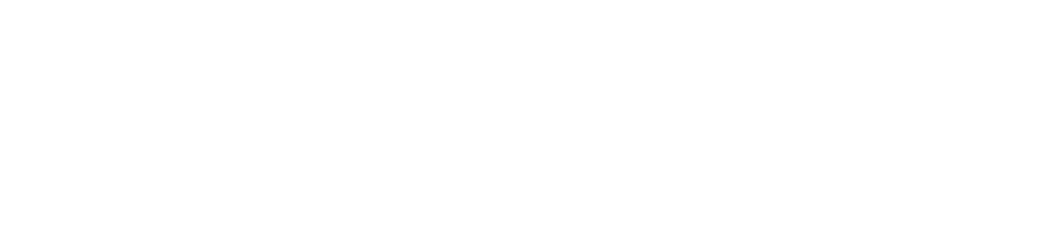 Campaign in Motion